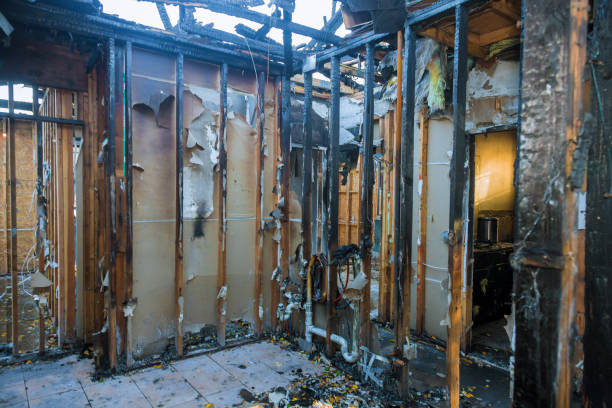 Professional Structural Rebuild technician working in Vashon, WA